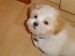 13_4_2007_16-35-02_Teddy.jpg