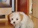 13_4_2007_16-37-29_Teddy.jpg