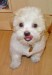 13_4_2007_16-38-42_Teddy.jpg